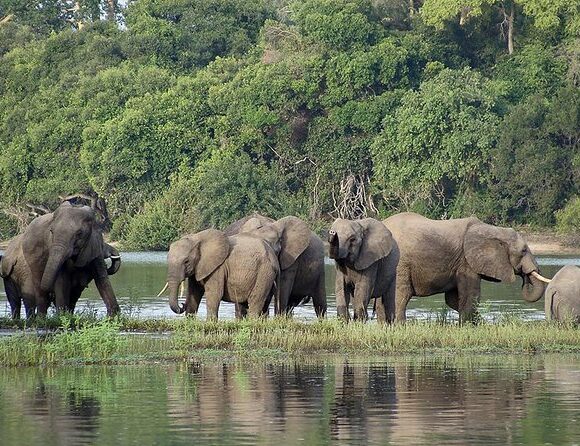 3 Days Wildlife Safari in Selous Game Reserve