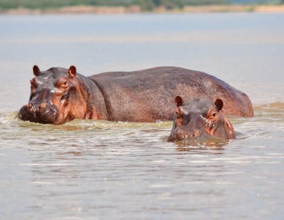 Saadan National Park